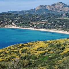 Cargese Plage de Peru promenade de Puntiglione 464