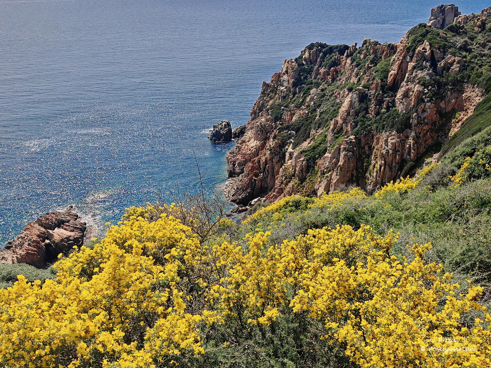 Cargese Promenade de Puntiglione 451