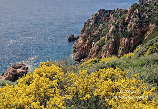 Cargese Promenade de Puntiglione 451