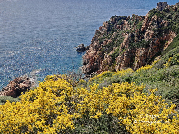 Cargese Promenade de Puntiglione 451