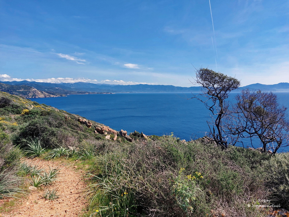 Cargese Promenade de Puntiglione 454