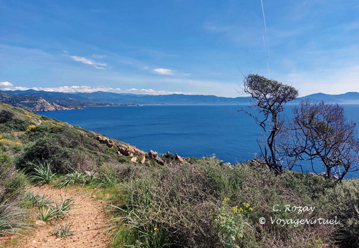 Cargese Promenade de Puntiglione 454