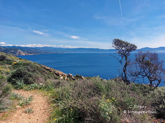 Cargese Promenade de Puntiglione 454