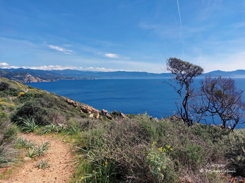 Cargese Promenade de Puntiglione 454