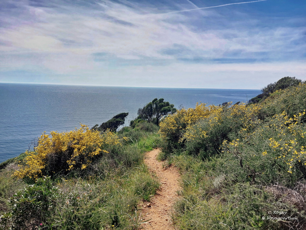 Cargese Promenade de Puntiglione 456