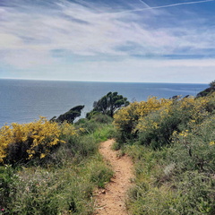 Cargese Promenade de Puntiglione 456