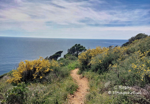 Cargese Promenade de Puntiglione 456