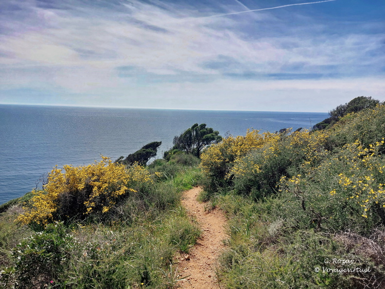 Cargese Promenade de Puntiglione 456
