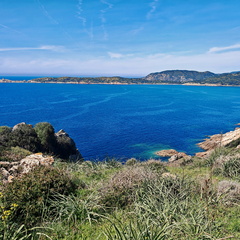 Cargese Promenade de Puntiglione 457