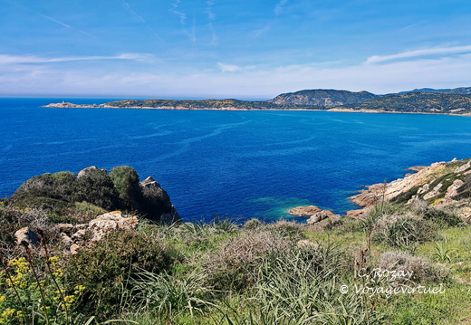 Cargese Promenade de Puntiglione 457