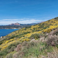 Cargese Promenade de Puntiglione 459