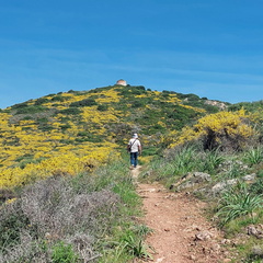 Cargese Promenade de Puntiglione 460