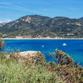 Coggia Maio Plage de Sagone 465
