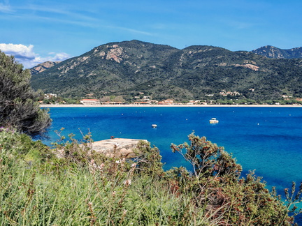 Coggia Maio Plage de Sagone 465
