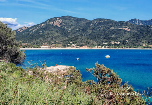Coggia Maio Plage de Sagone 465