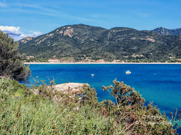 Coggia Maio Plage de Sagone 465