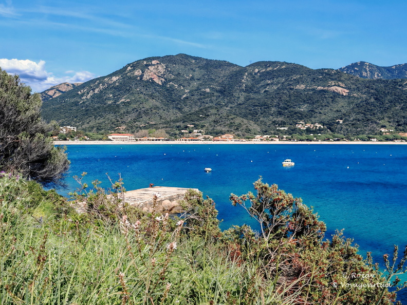 Coggia Maio Plage de Sagone 465