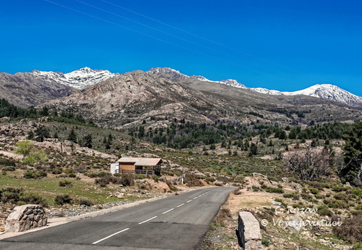 Albertacce Paysage depuis la D84 502