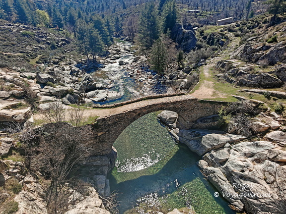 Albertacce Ponte Altu 506