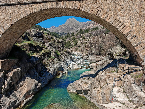 Albertacce Ponte Altu 515