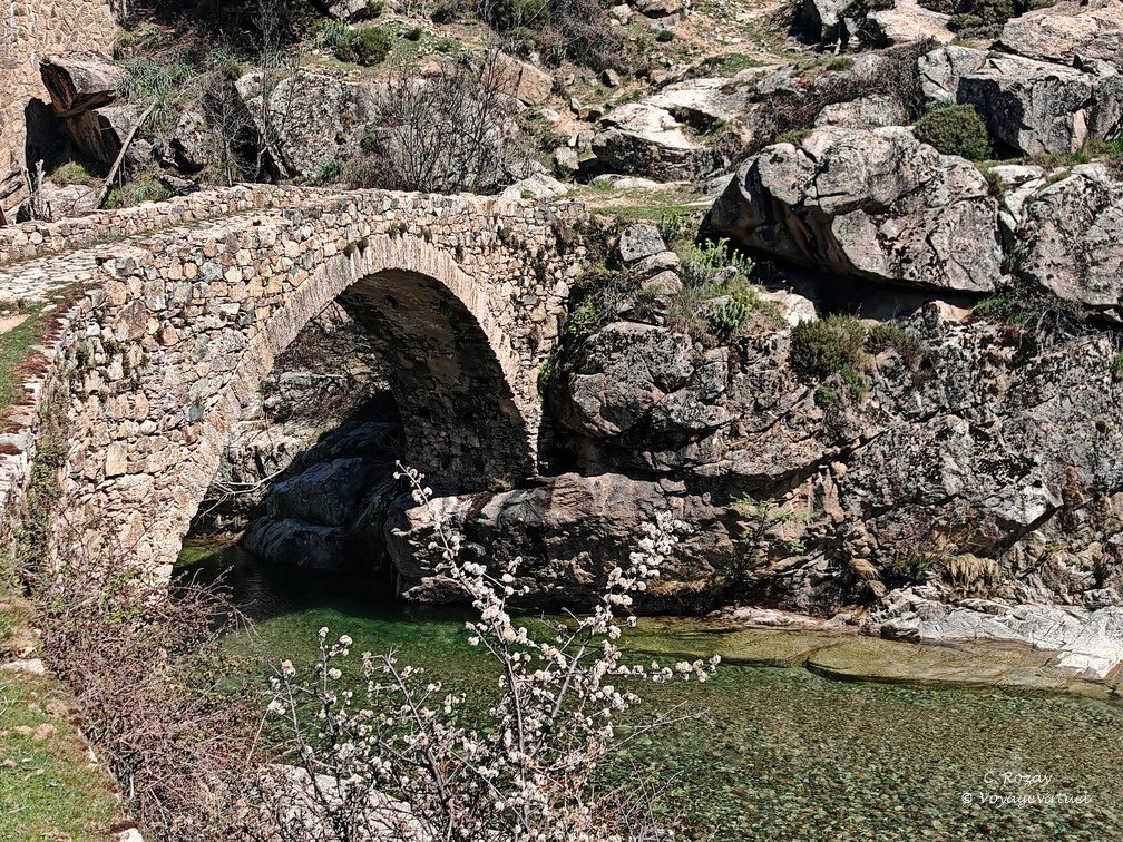 Albertacce Ponte Altu 519