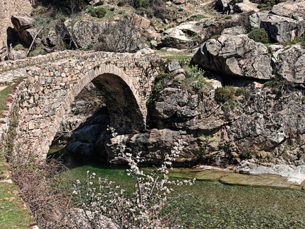 Albertacce Ponte Altu 519