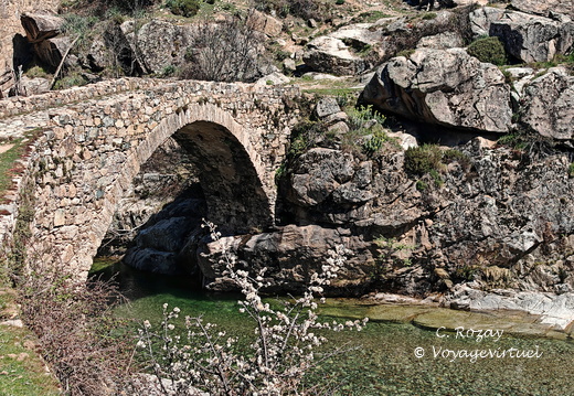 Albertacce Ponte Altu 519