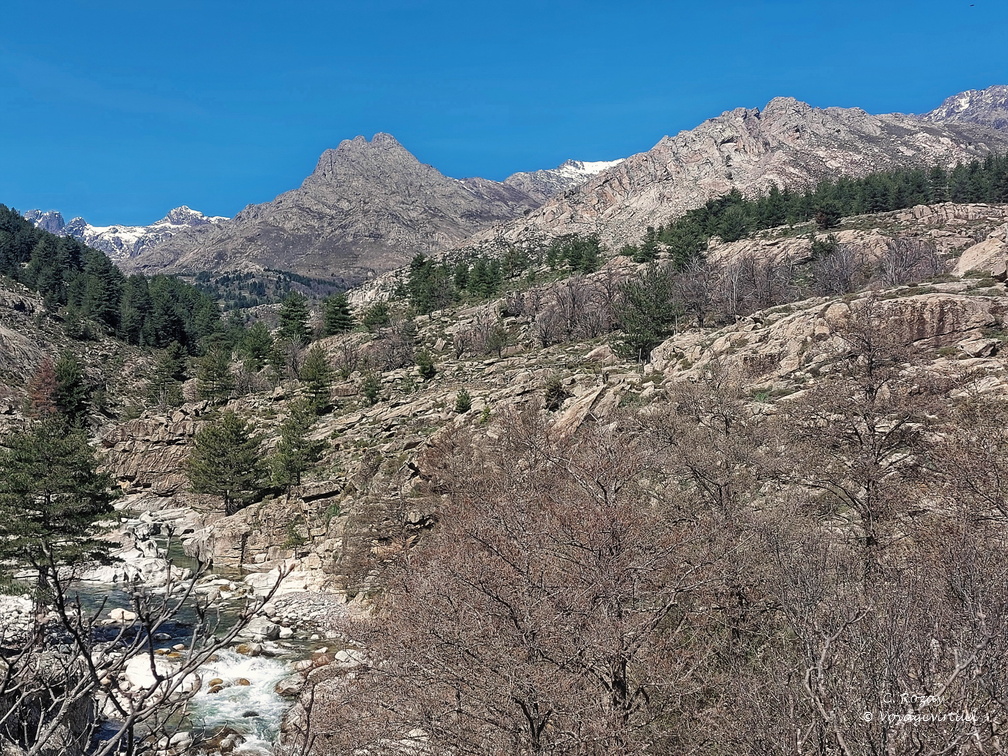 Albertacce Ponte Altu 521