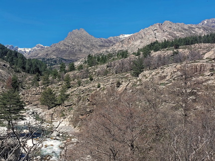 Albertacce Ponte Altu 521
