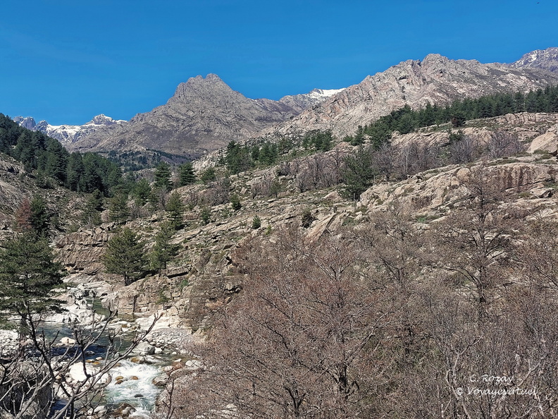 Centre Corse, Albertacce Ponte Altu 521