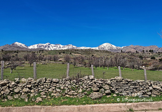 Calacuccia Muret de pierres et montagnes ennigees 524