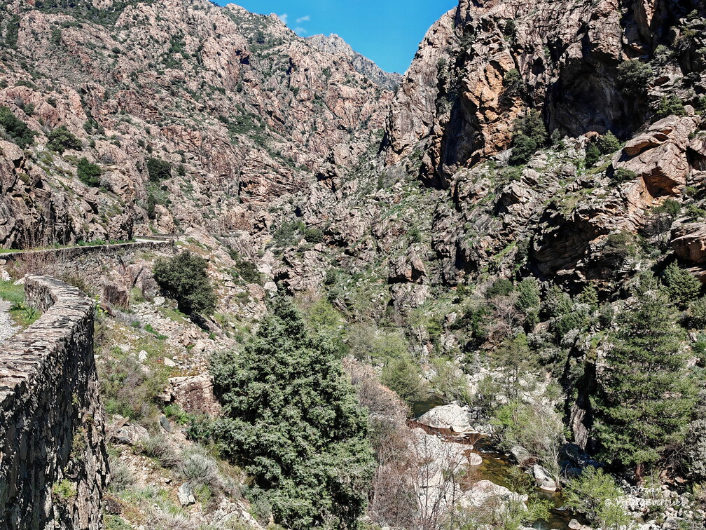 Corscia Canyon de la Ruda 542