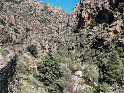 Corscia Canyon de la Ruda 542