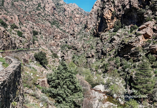 Corscia Canyon de la Ruda 542