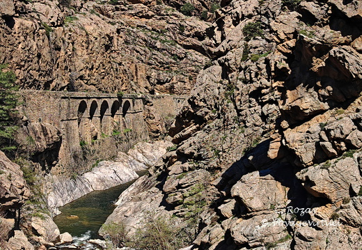 Corscia Canyon de la Ruda 543