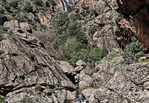 Corscia Canyon de la Ruda 544