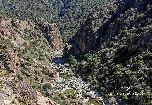 Corscia Canyon de la Ruda 545