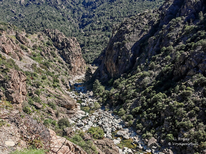 Corscia Canyon de la Ruda 545