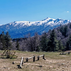 Cristinacce Col di Vergio 483