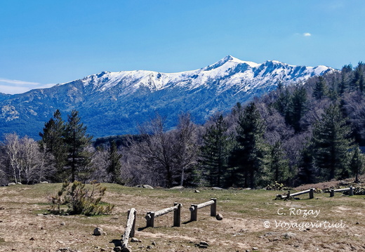 Cristinacce Col di Vergio 483