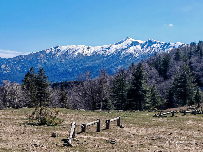 Cristinacce Col di Vergio 483