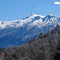 Cristinacce Col di Vergio 486
