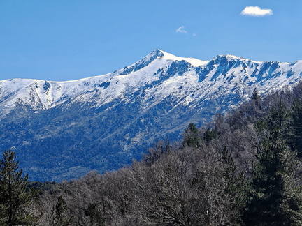 Cristinacce Col di Vergio 486