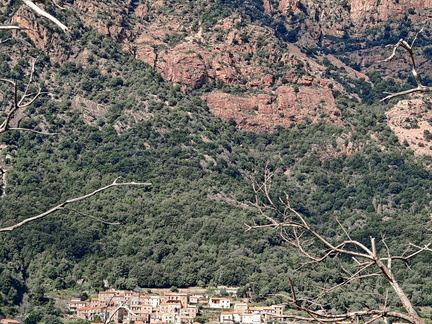Rencontres et paysage Sur la D84 entre Porto et Evisa 377