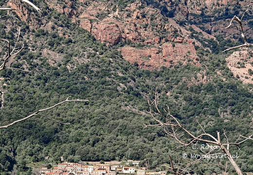 Rencontres et paysage Sur la D84 entre Porto et Evisa 377