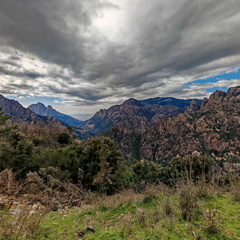 Rencontres et paysage Sur la D84 entre Porto et Evisa 393