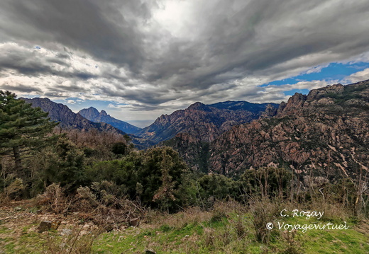 Rencontres et paysage Sur la D84 entre Porto et Evisa 393