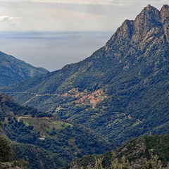 Rencontres et paysage Sur la D84 entre Porto et Evisa 395