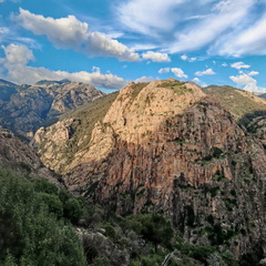 Rencontres et paysage Sur la D84 entre Porto et Evisa 401