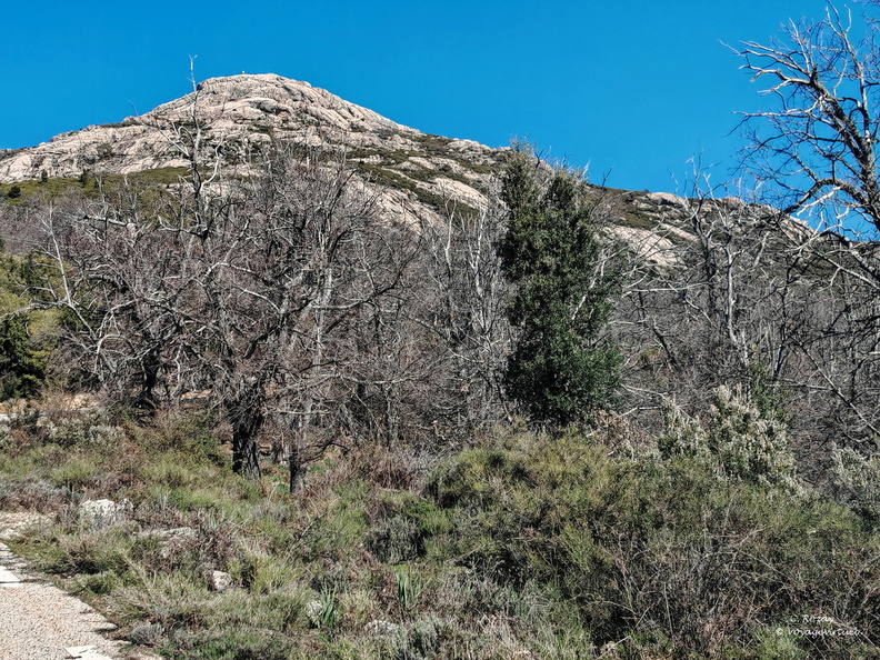 Centre Corse, Renno Poggio 472